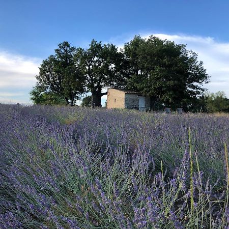 Cabanon Du Berger Villa Saignon Exteriör bild